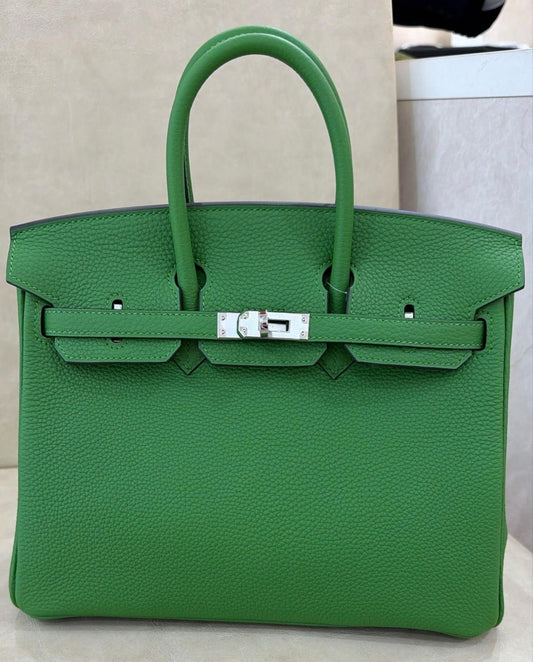 Hermes Birkin 25 Vert Yucca Togo Palladium hardware