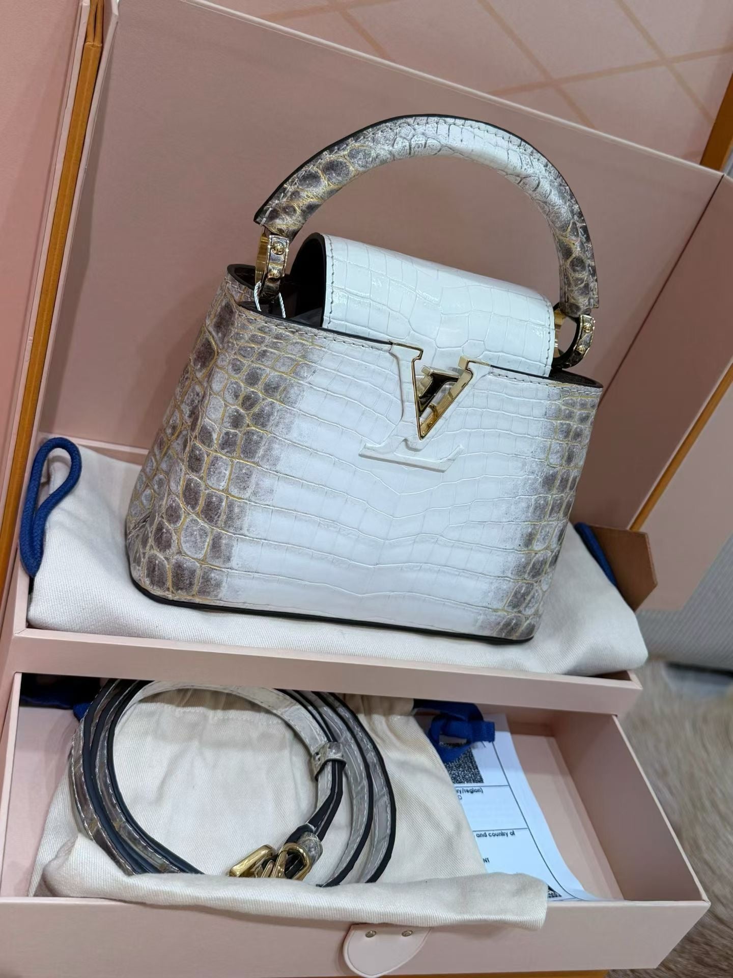 Louis Vuitton White Matte Himalaya Crocodile Mini Capucines