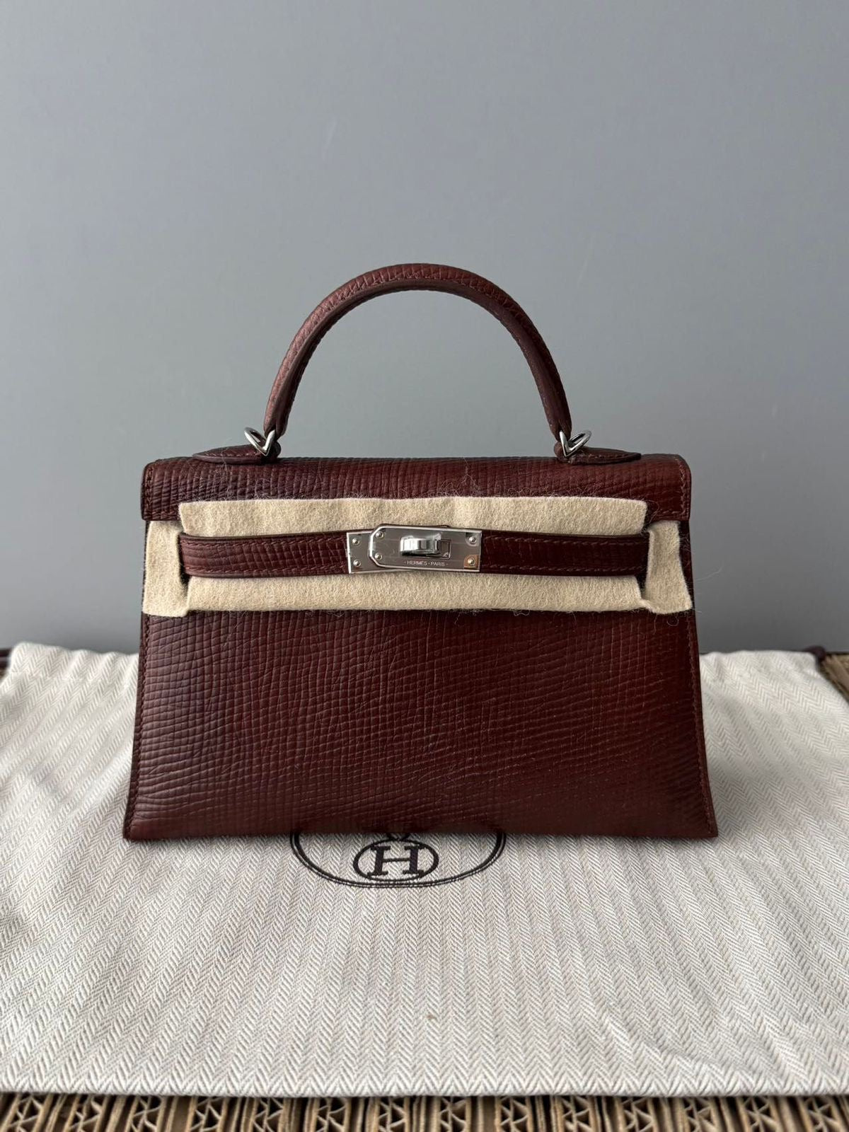 Hermes Mini Kelly 20 Terre Volynka Palladium Hardware