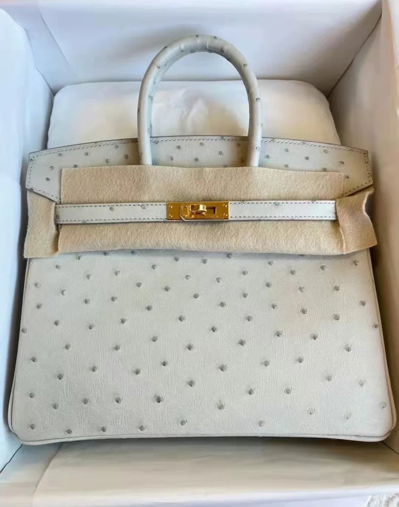 HERMÈS Birkin 25 Gris Perle Ostrich leather Gold hardware