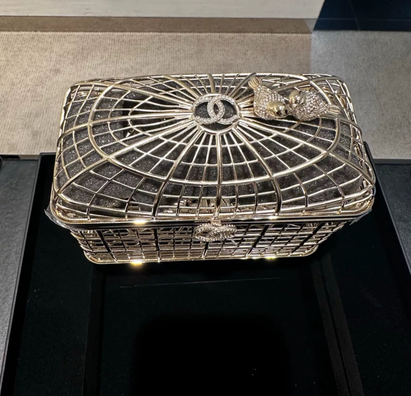 Chanel 25S Birdcage Evening Bag – Wararni.com