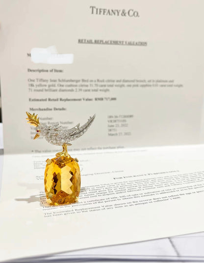 Tiffany & Co. Schlumberger Citrine Diamond Gold Bird on a Rock Brooch