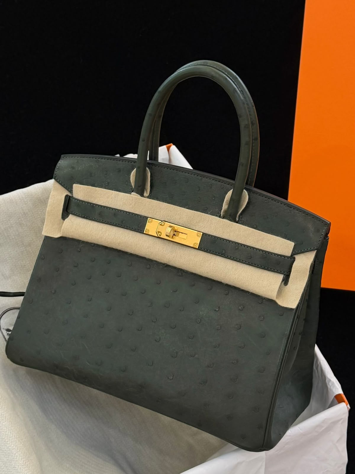 Hermès Birkin 30 Vert Titien Ostrich Gold hardware