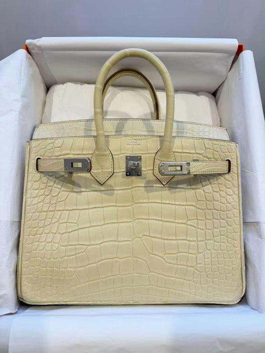 Hermes Birkin 25 Vanille Matte Alligator leather palladium hardware