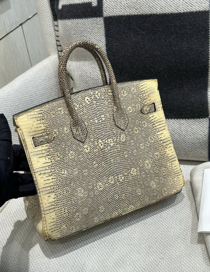 Hermès Birkin 25 Ombre Varanus Salvator Lizard Palladium Hardware