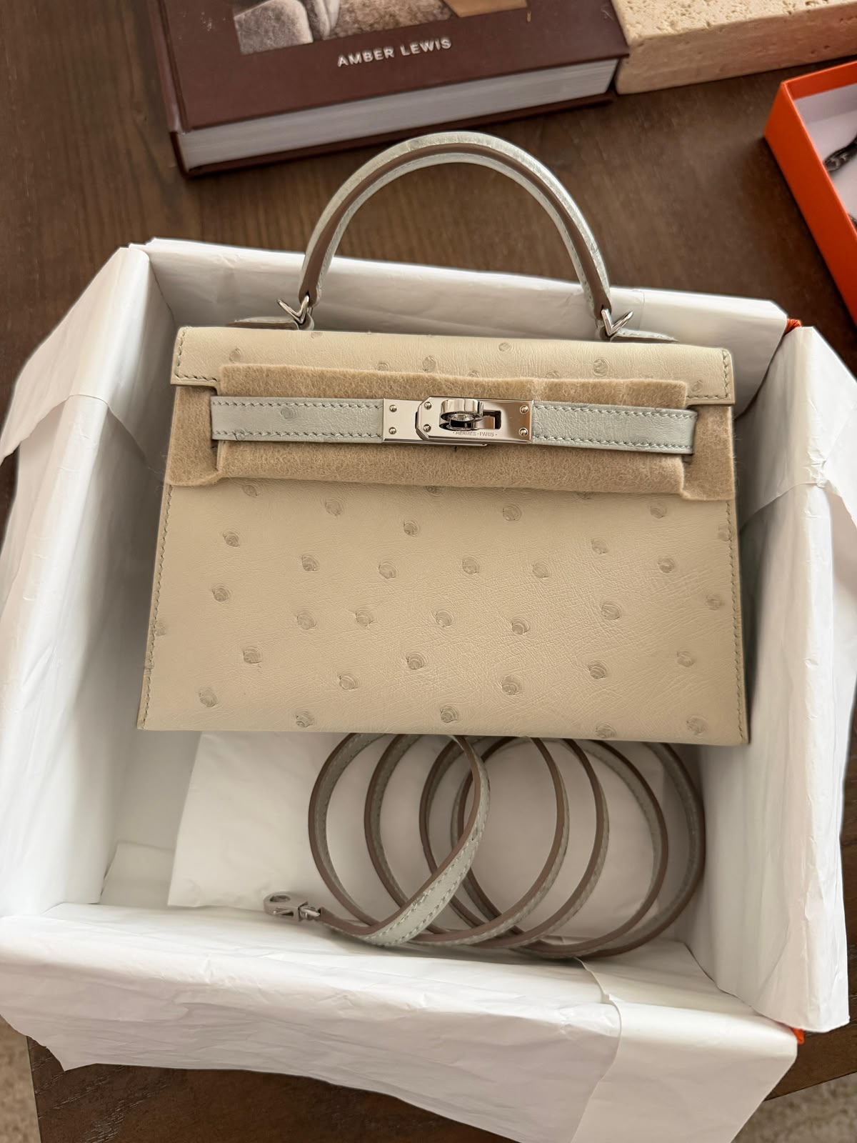 Hermès Mini Kelly 20 Gris Perle Ostrich Palladium - Wararni
