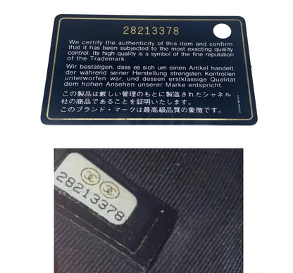 Chanel 19A Paris New York Egyptian Croc Embossed Graffiti Medium O Case Clutch