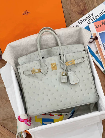 Hermès Birkin 25 Gris Perle Ostrich Gold Hardware