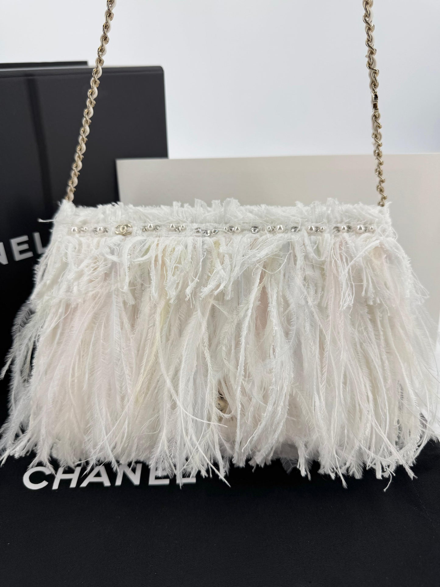 Chanel 25S Embroidered Tweed, Feathers, Imitation Pearls & Gold-Tone Metal Clutch in White