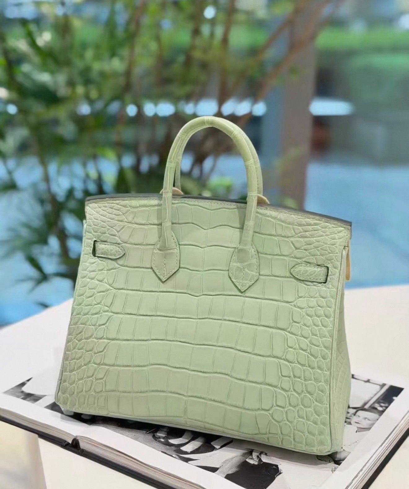Hermès Birkin 25 6U Vert d'eau Crocodile Leather Palladium