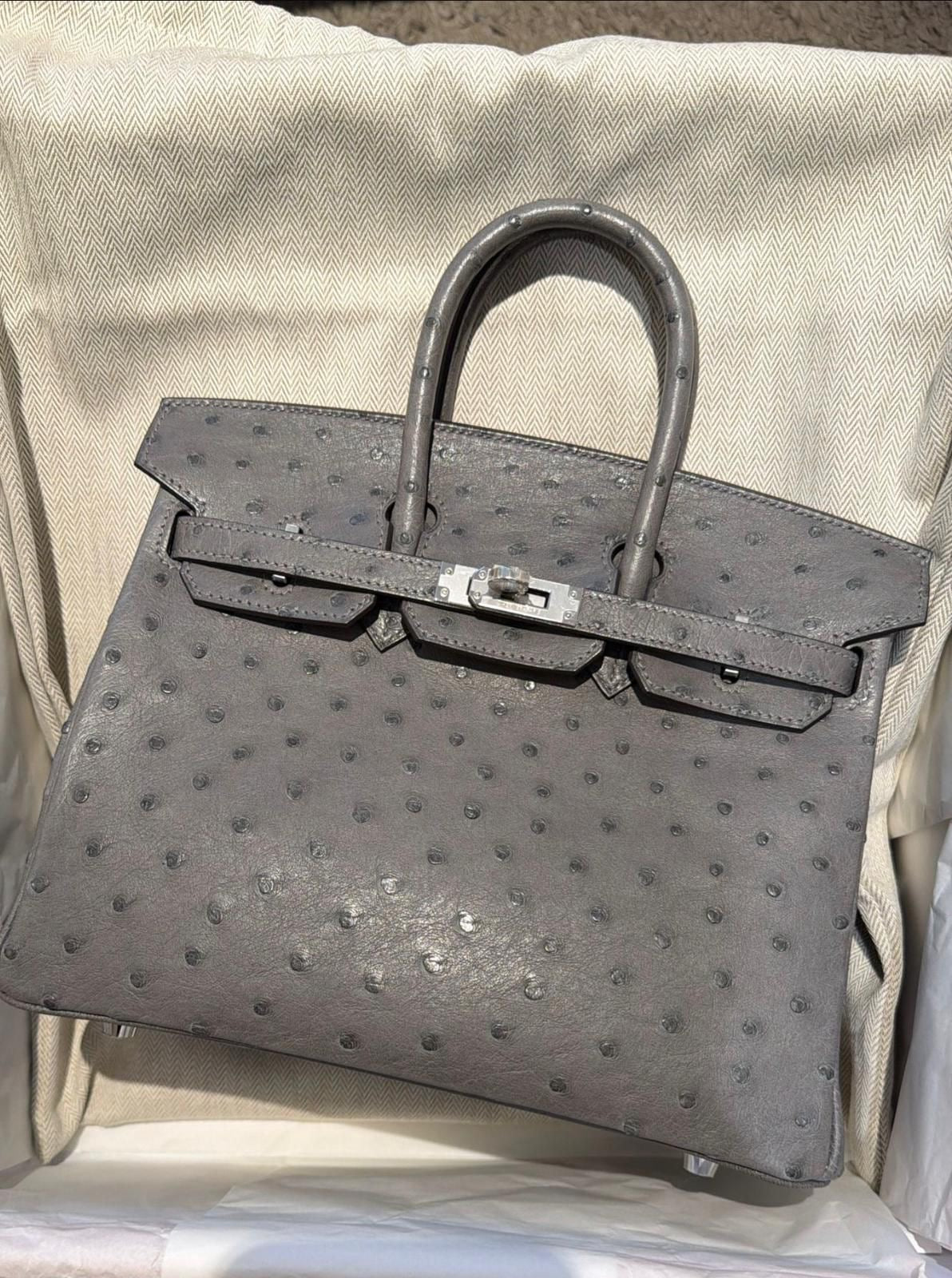 Hermes Birkin 25 Gris Meyer Ostrich Palladium hardware