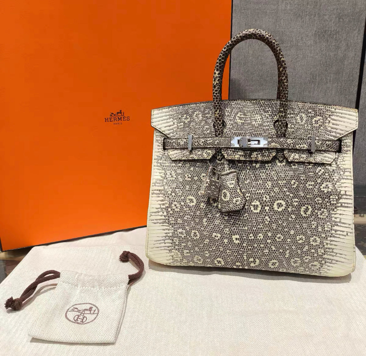 HERMÈS BIRKIN 25 SELLIER OMBRE LIZARD PALLADIUM HARDWARE