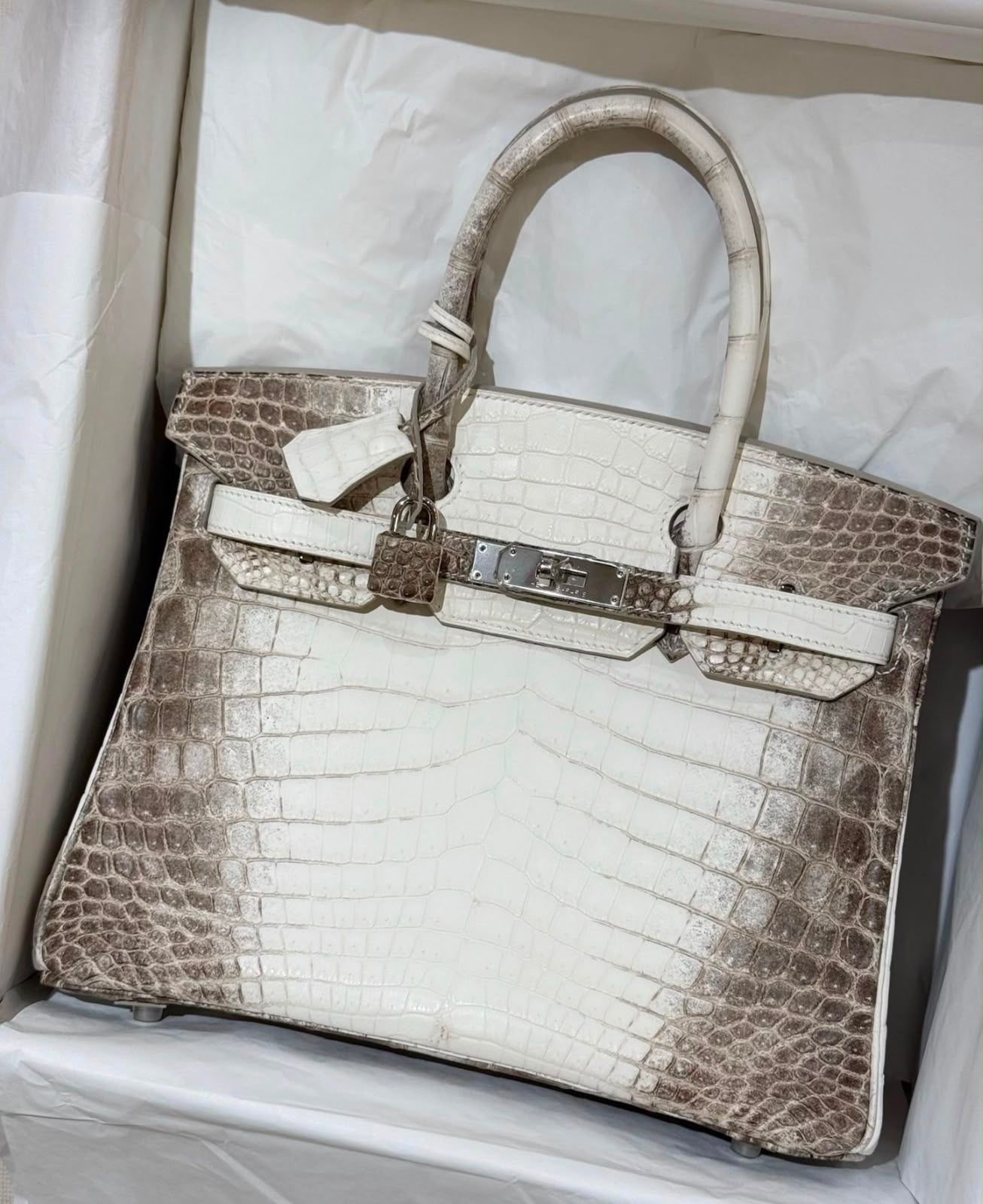 Hermes Birkin 30 Himalaya Matte Niloticus Palladium Hardware