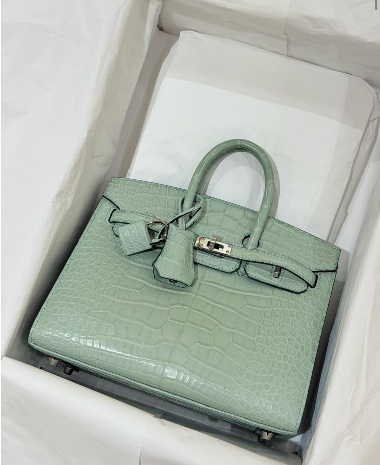 Hermes Birkin 20 Vert d’eau Matte Alligator Palladium hardware