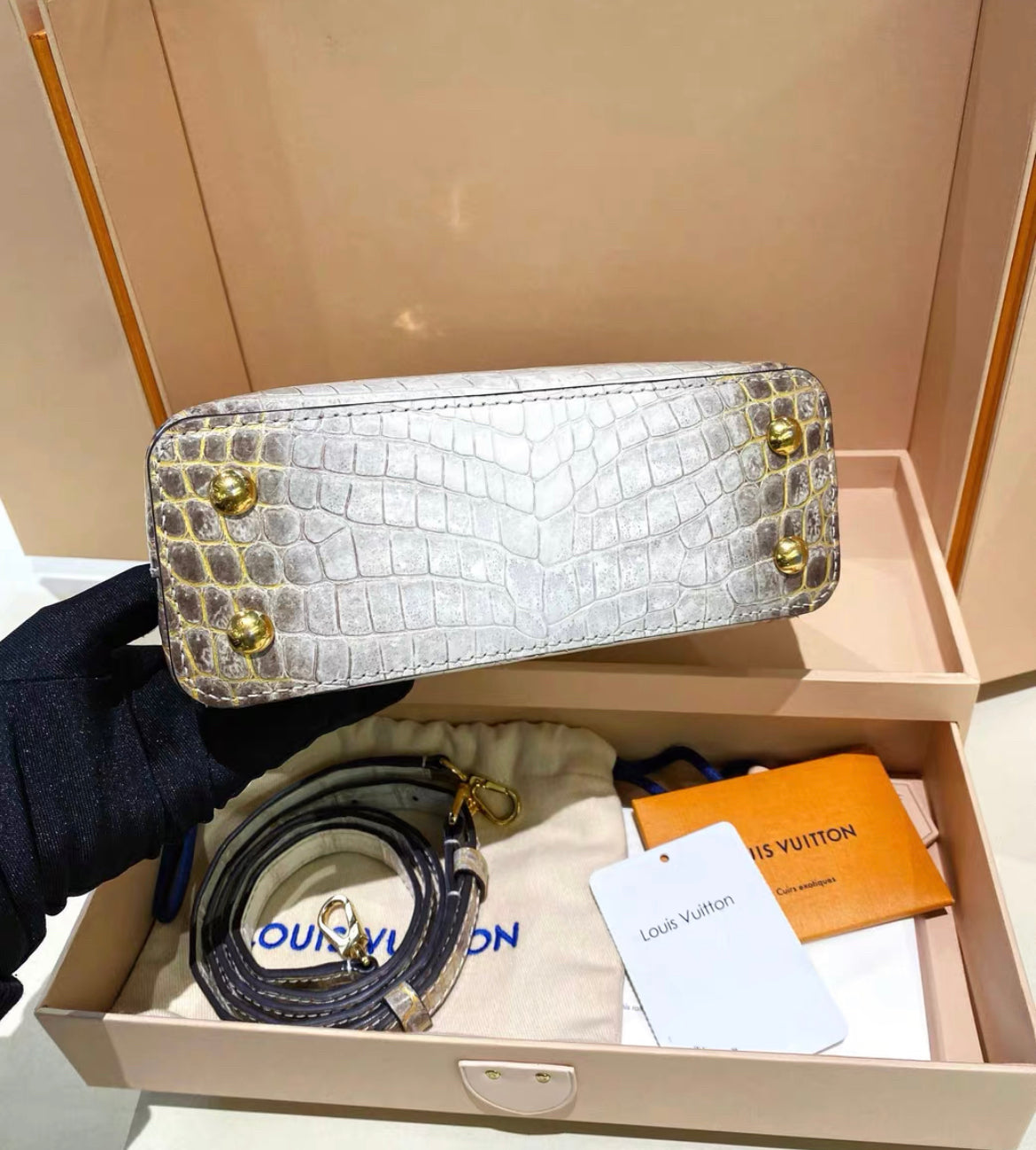 Louis Vuitton White Matte Himalaya Crocodile Mini Capucines