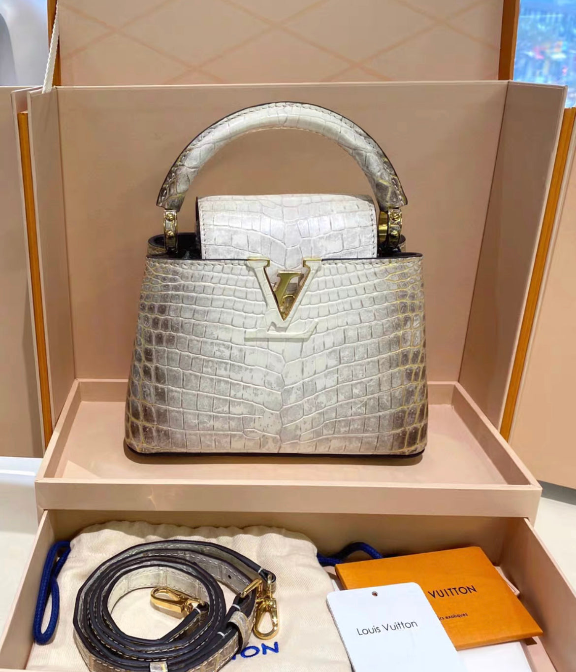 Louis Vuitton White Matte Himalaya Crocodile Mini Capucines