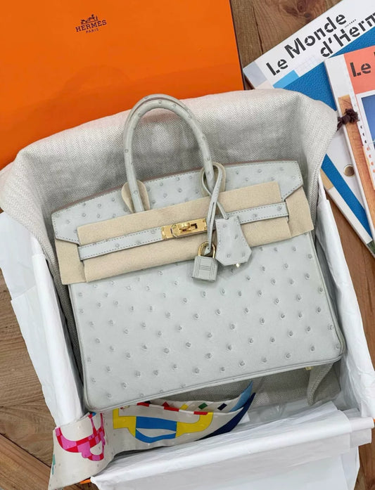 Hermès Birkin 25 Gris Perle Ostrich Gold Hardware