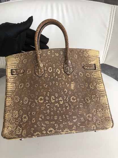 Hermès Birkin 25 Ombre Varanus Salvator Lizard Palladium Hardware