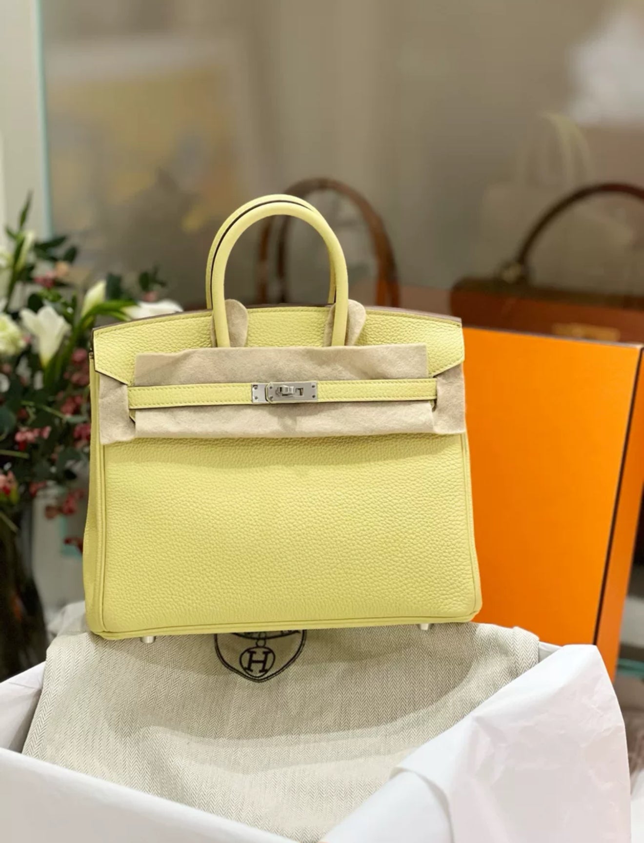 Hermes Birkin 25 Jaune Poussin Togo Leather Palladium Hardware Handbag