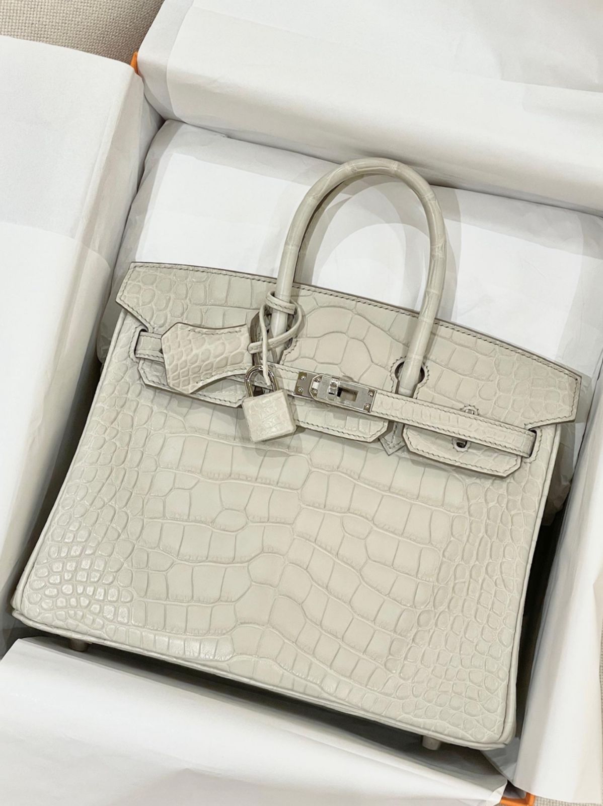 Hermes Birkin 25 Beton Matte Alligator Palladium hardware