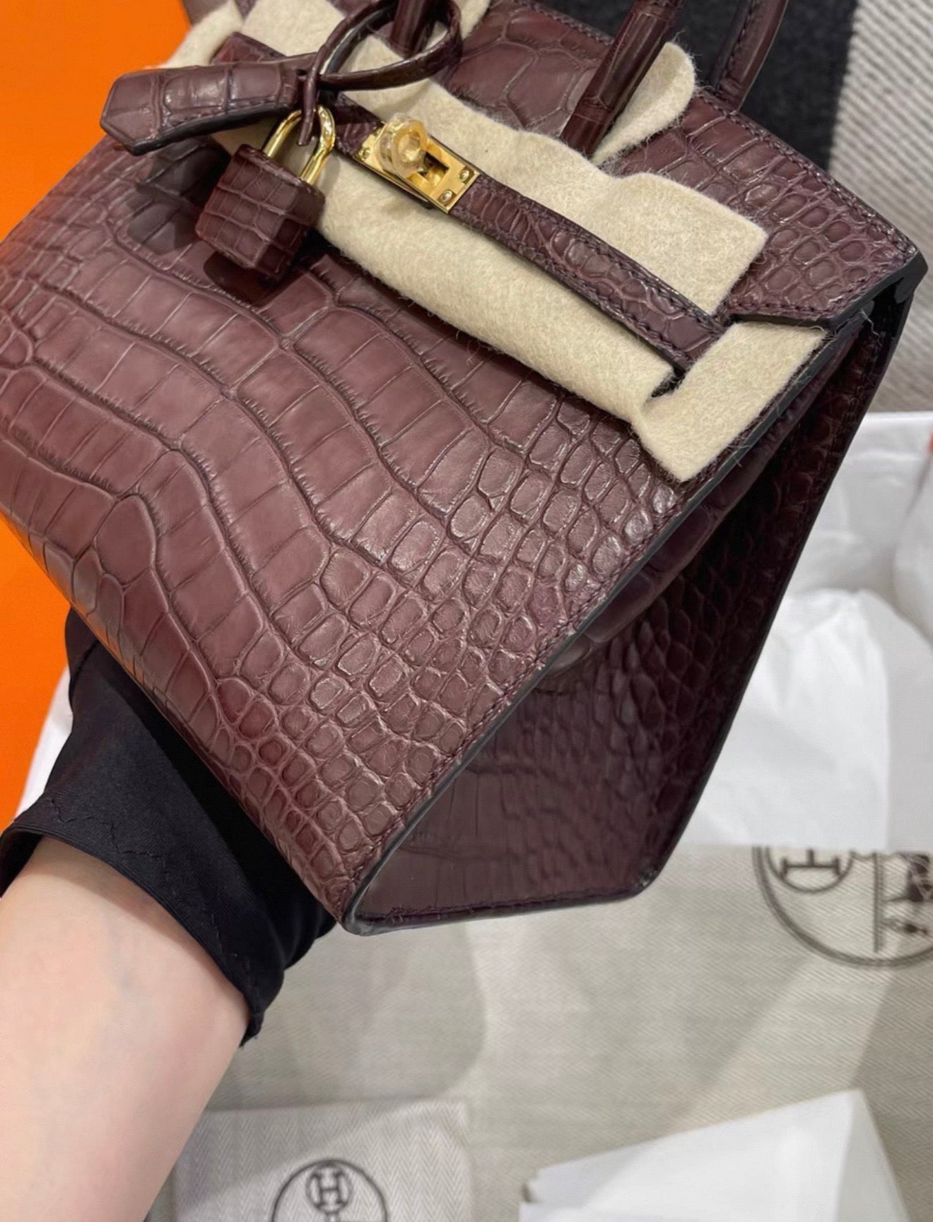 Hermes Birkin 20 Havana Matte Alligator leather gold hardware