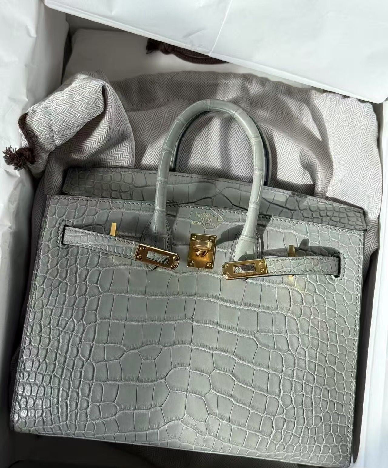 Hermès Birkin 20 Gris Ciment Matte Alligator Gold Hardware