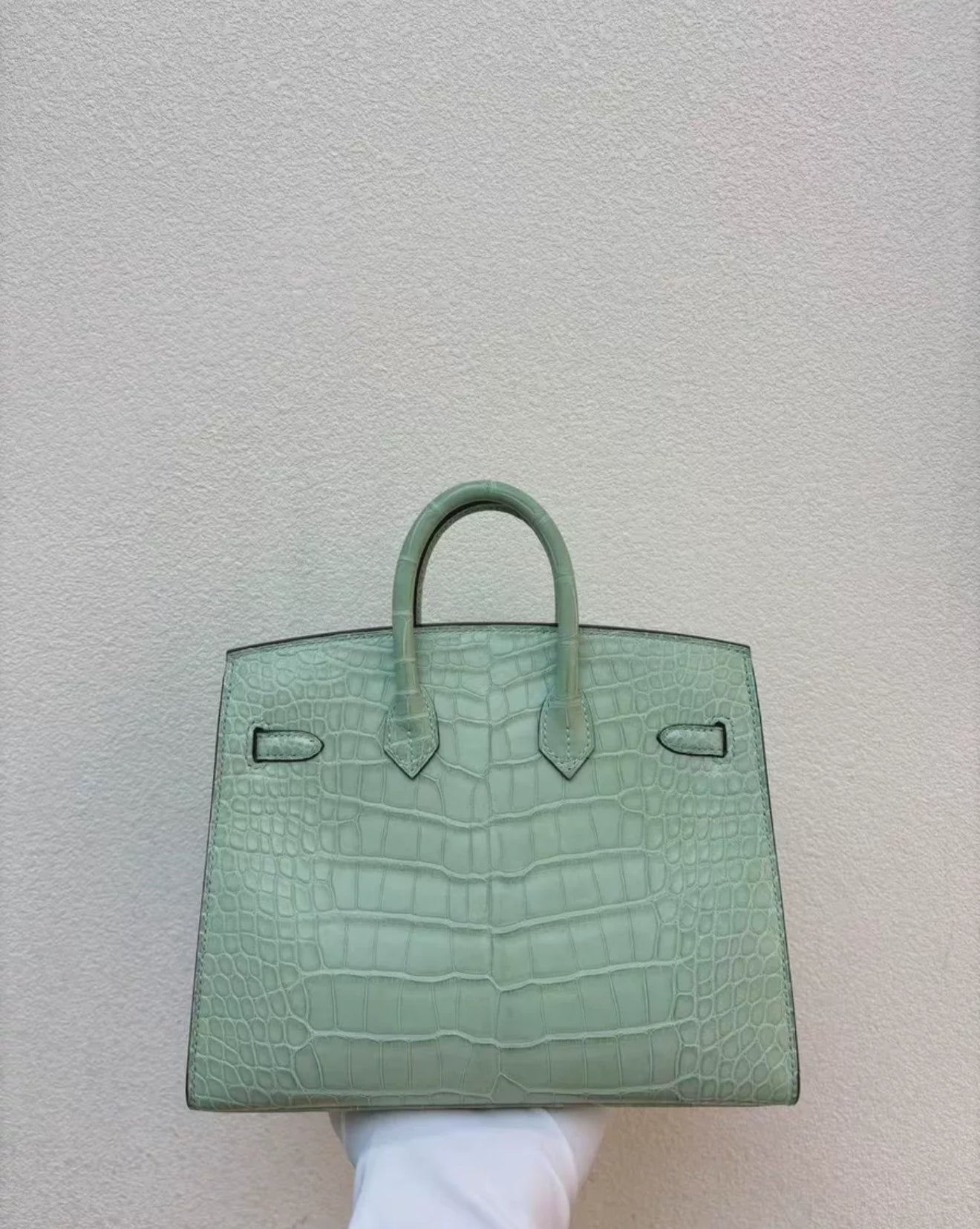 Hermès Birkin 20 Vert d'Eau Matt Alligator Gold Hardware