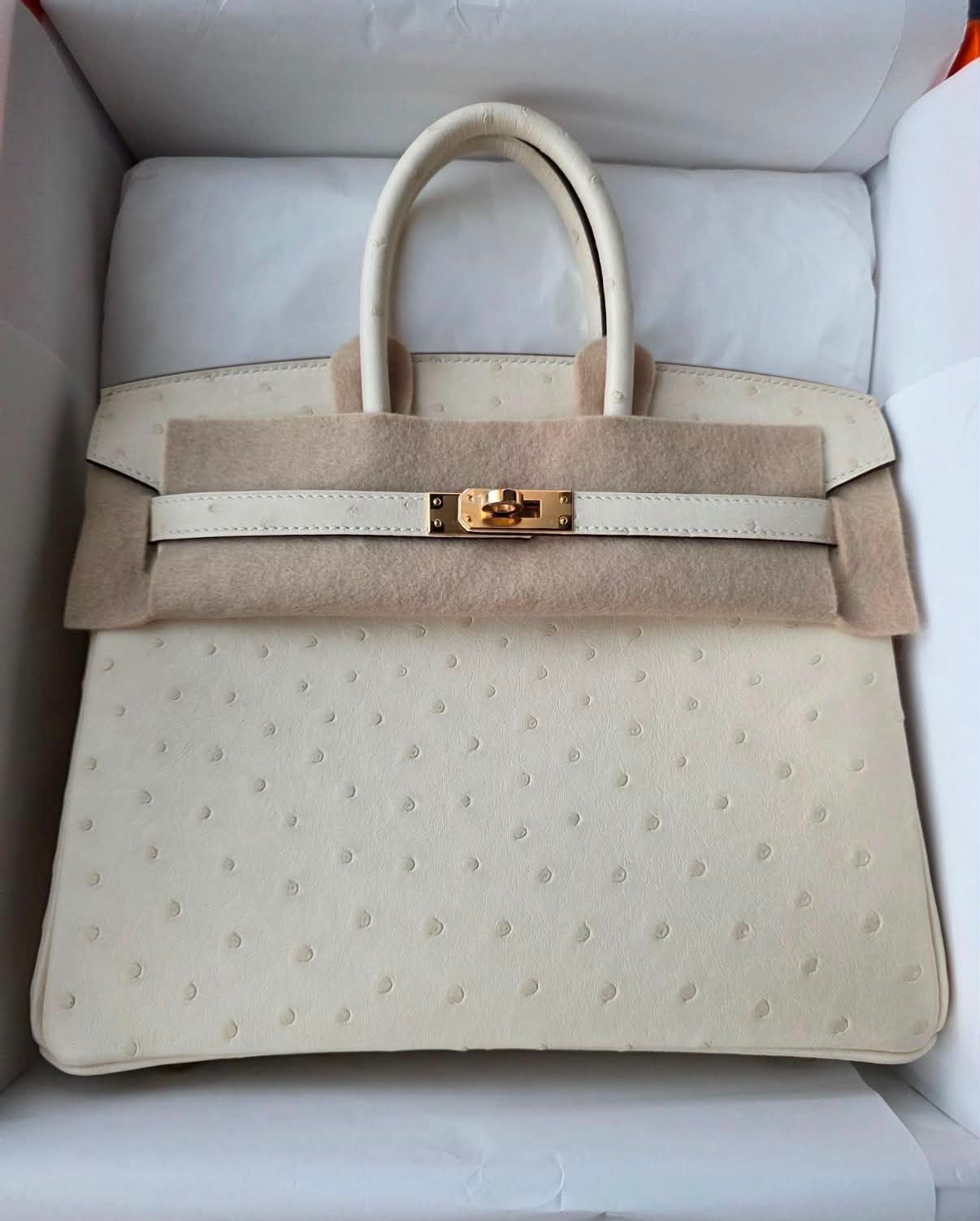 Hermes Birkin 25 Nata Satin Boreal Ostrich Gold hardware