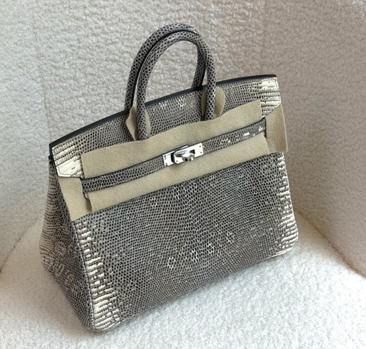 Hermes Birkin 25 ombre lizard palladium hardware