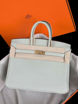 Hermès Birkin 25 Gris Neve Togo Leather with Gold Hardware