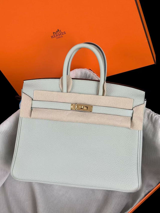 Hermès Birkin 25 Gris Neve Togo Leather with Gold Hardware