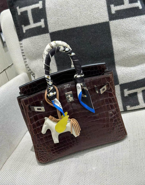 Hermès Birkin 25 Crocodile Niloticus Marron – Wararni.com