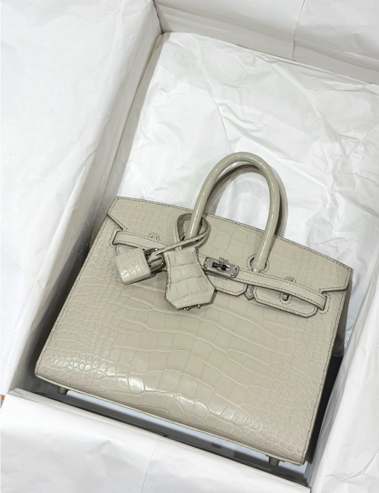 Hermes Birkin 20 Beton Matte Alligator Palladium hardware
