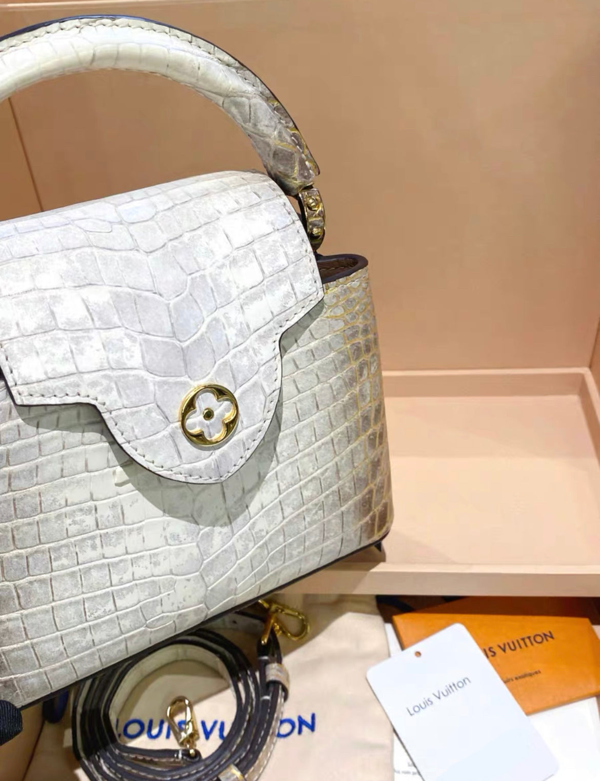 Louis Vuitton White Matte Himalaya Crocodile Mini Capucines