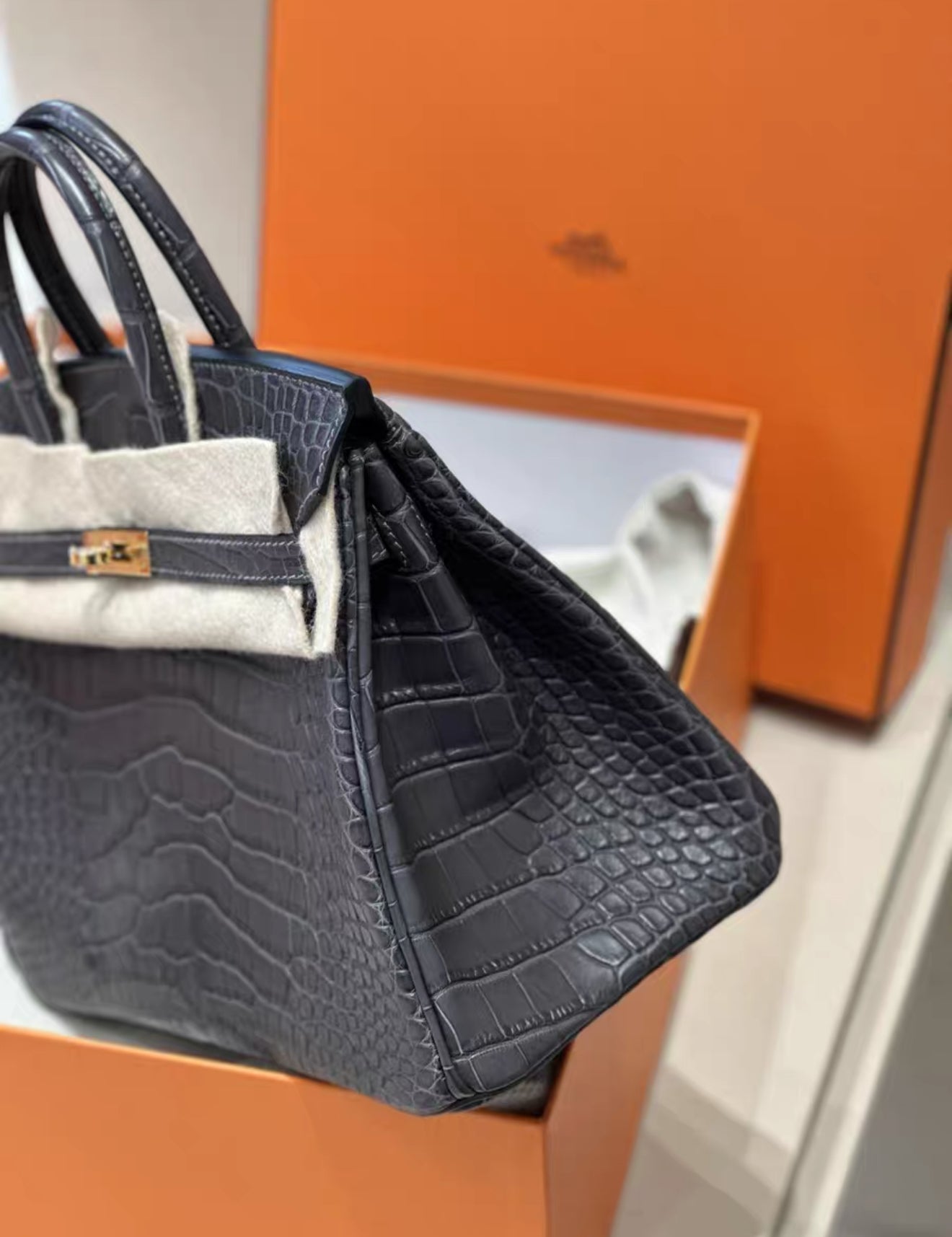 Hermès Birkin 25 Graphite Matte Alligator L’éther Gold Hardware