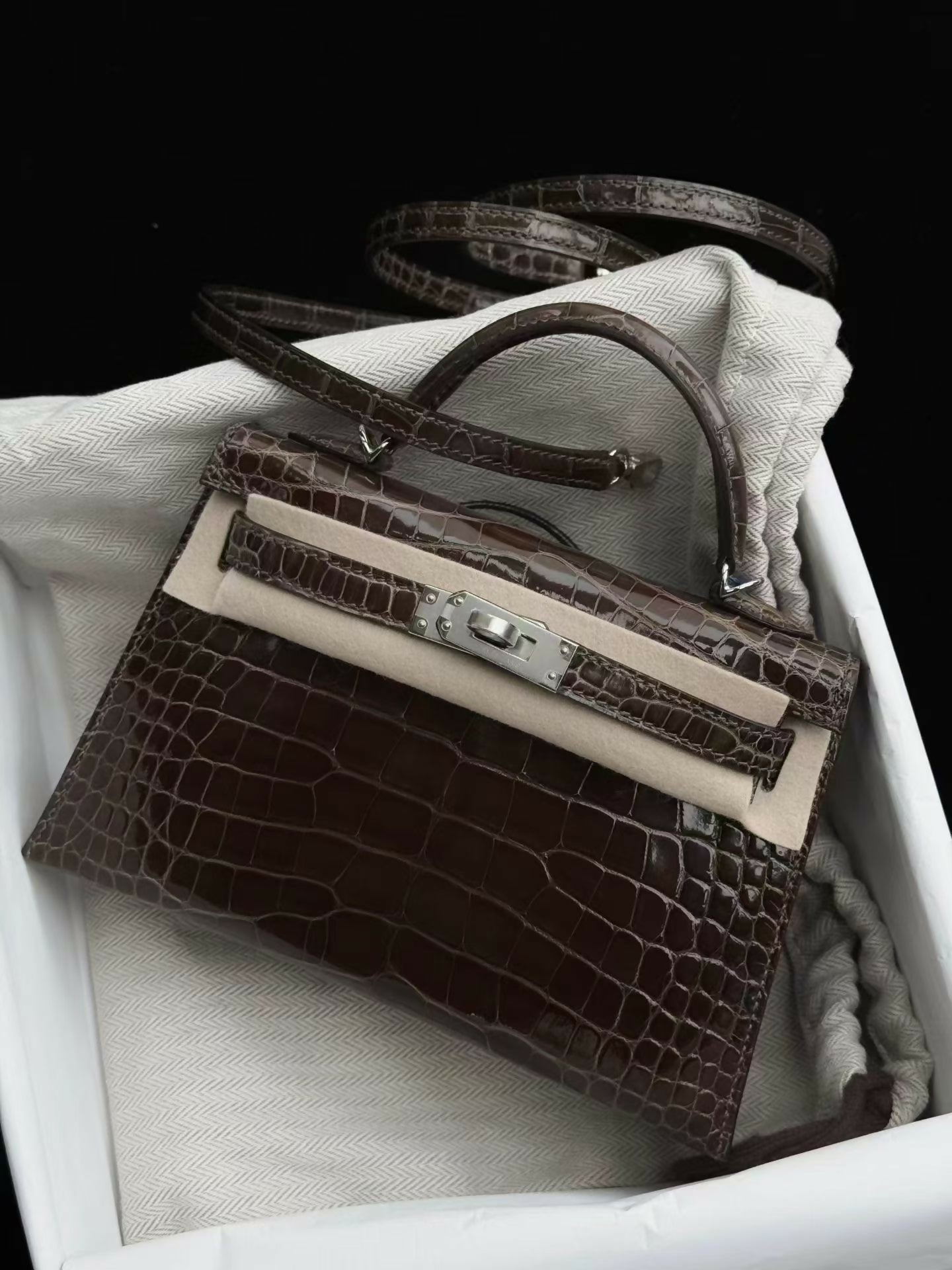 Hermès Mini Kelly 20 8C Gris Elephant Étoupe Alligator Lisse with