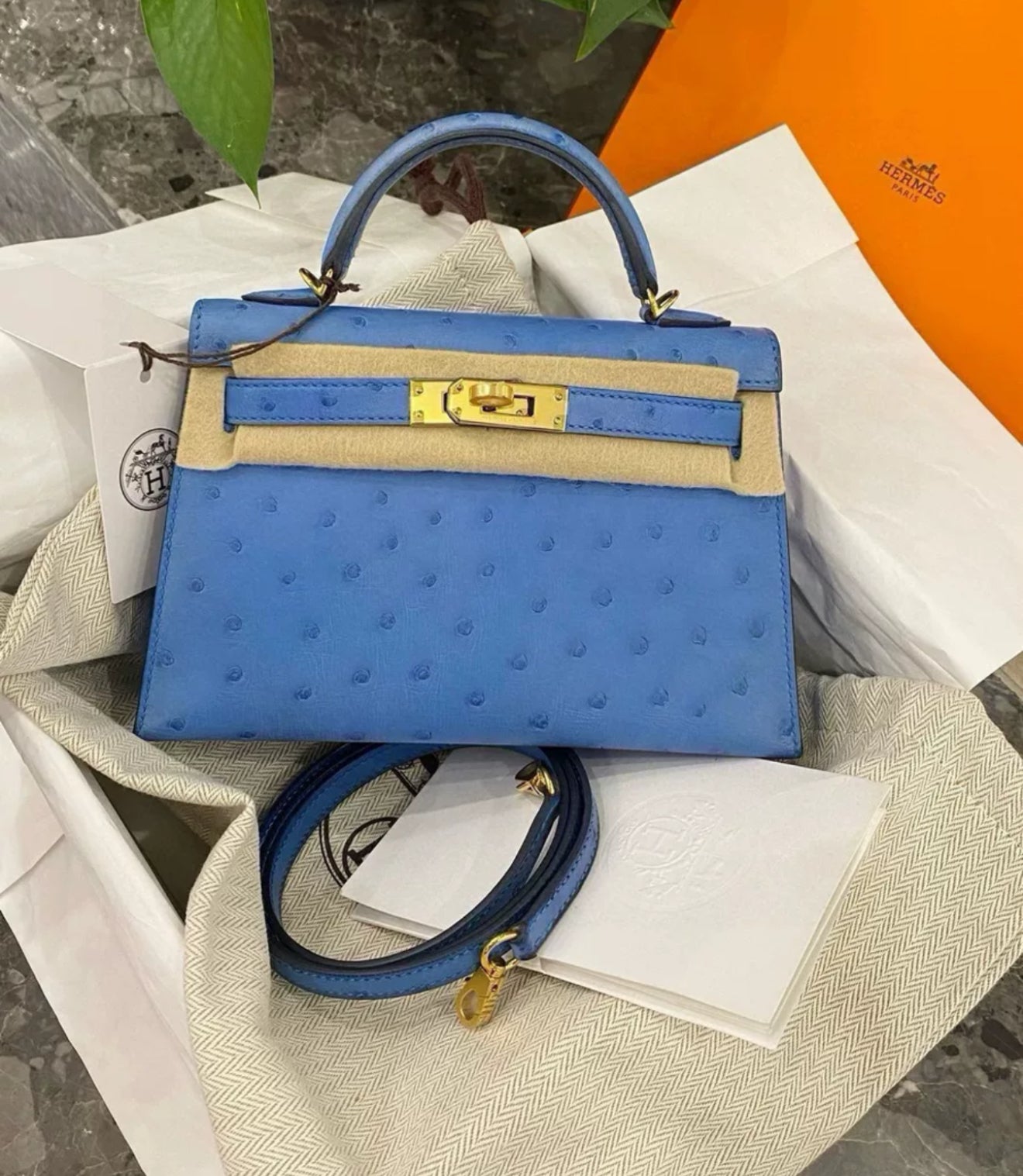 Hermès Mini Kelly bleuet Ostrich leather Gold Hardware