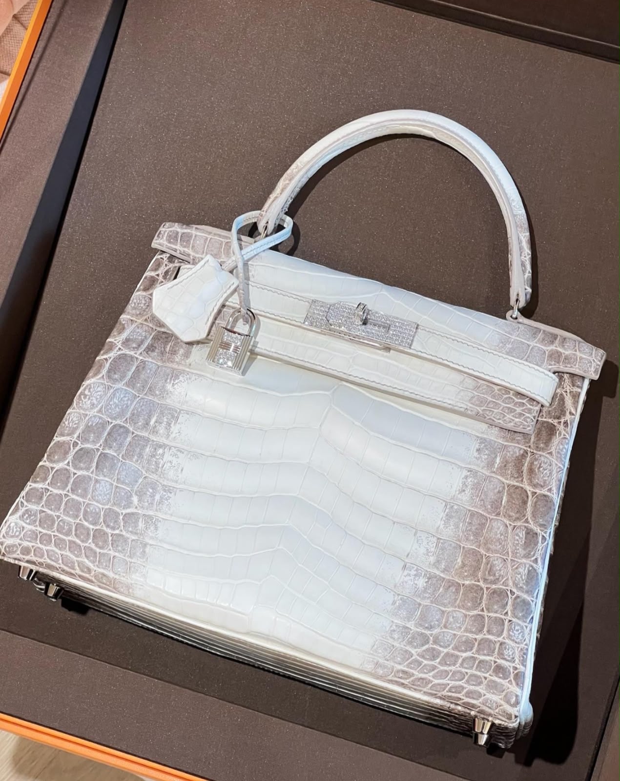 Hermes Kelly 28 Himalaya Matte Niloticus White Gold Diamond Hardware