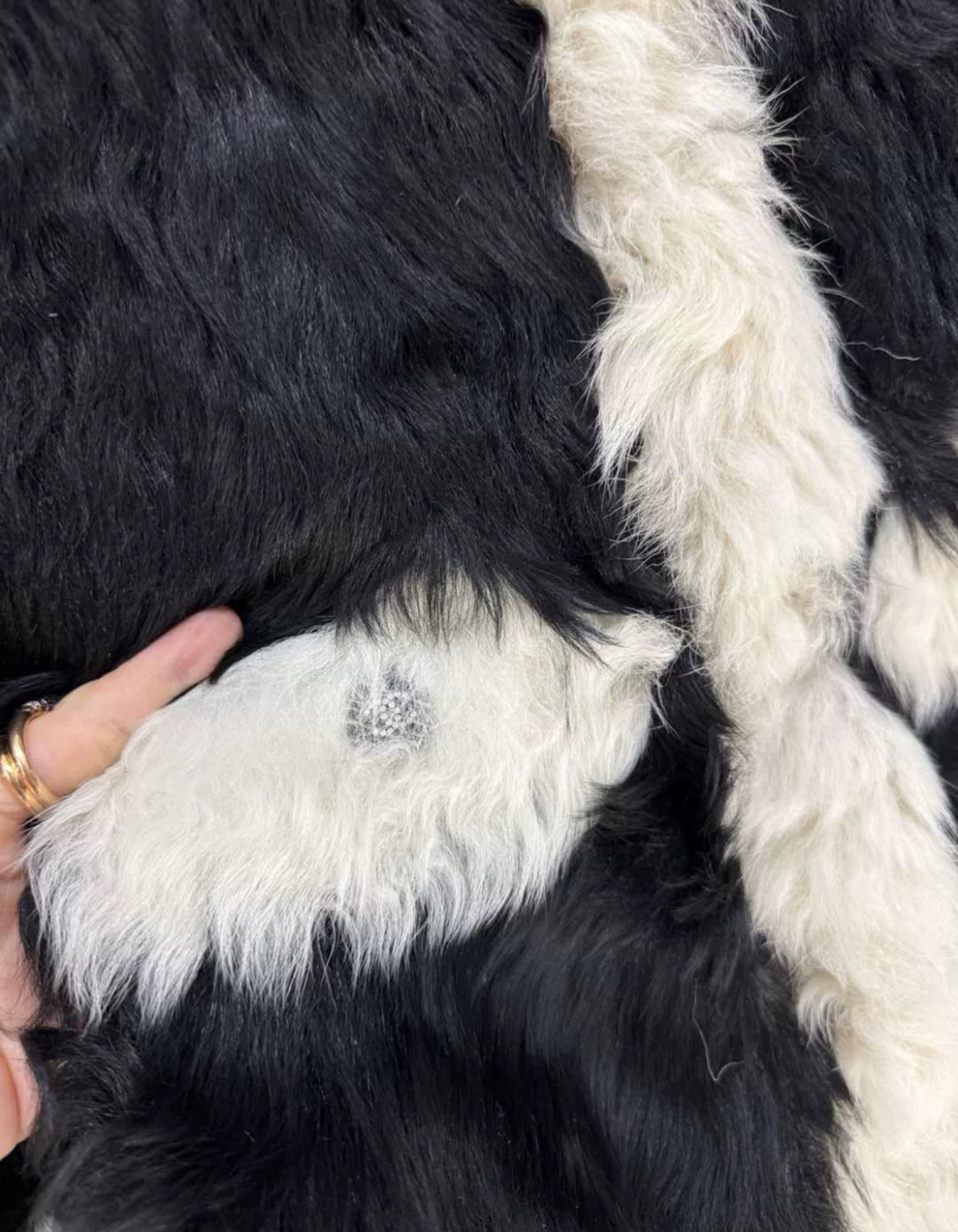 Chanel 21k black and white fur coat