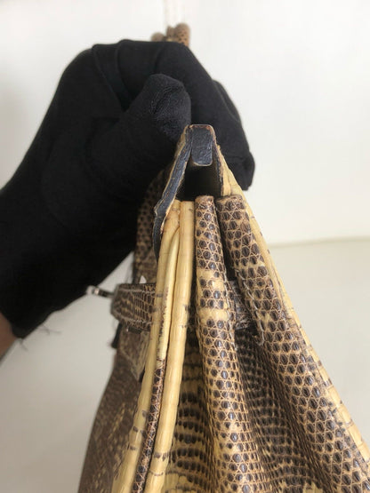 Hermès Birkin 25 Ombre Varanus Salvator Lizard Palladium Hardware