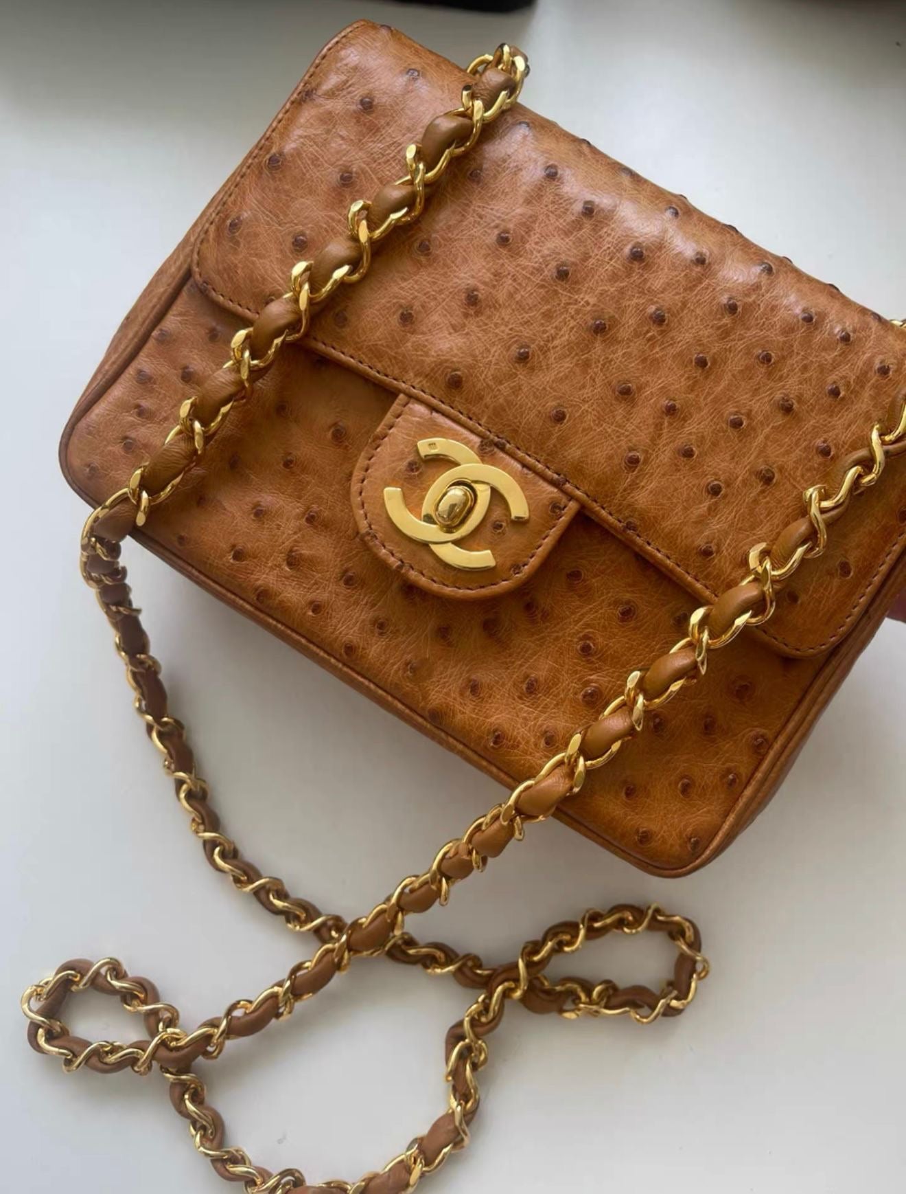 Chanel Vintage Flap bag in Ostrich Leather Gold Hardware