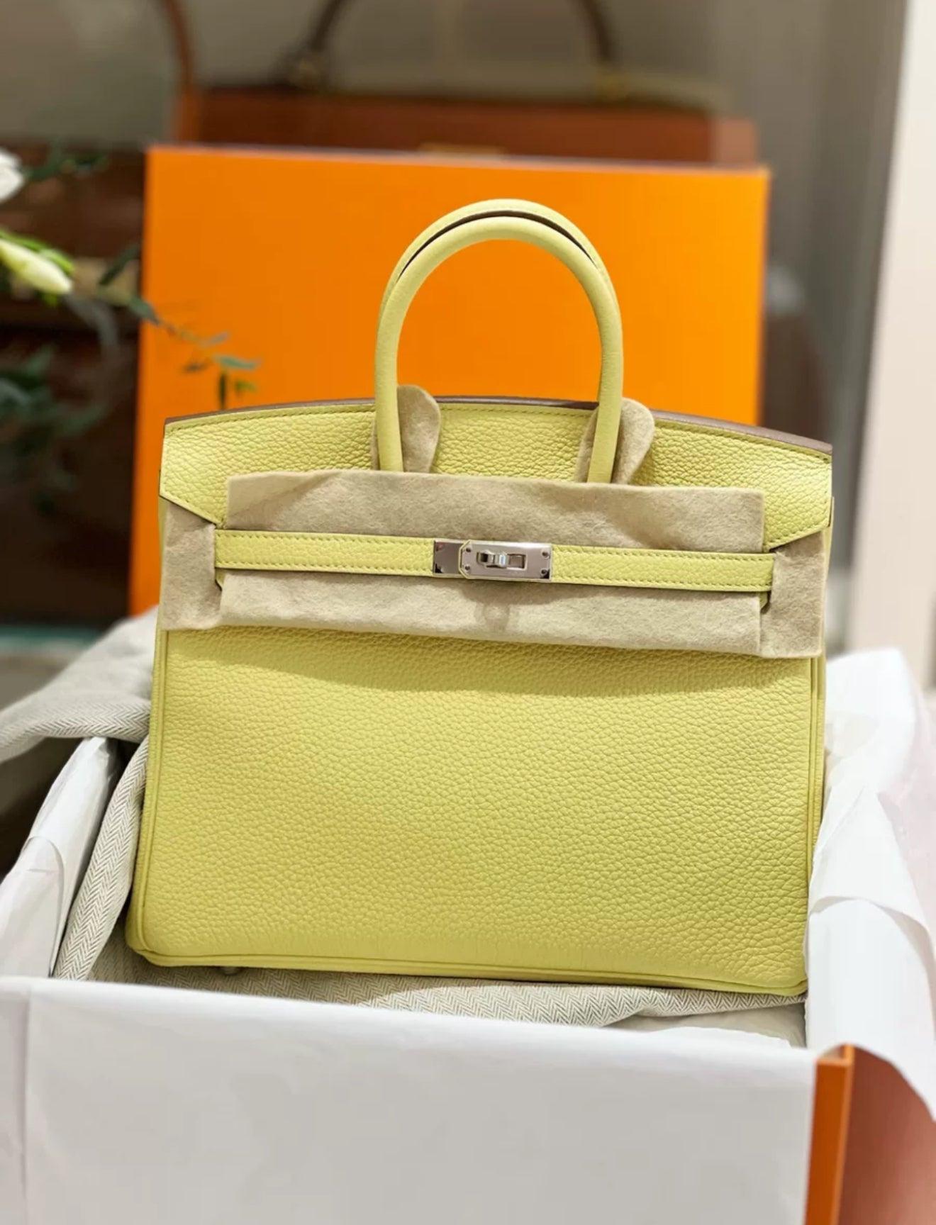 Hermes Birkin 25 Jaune Poussin Togo Leather Palladium Hardware Handbag
