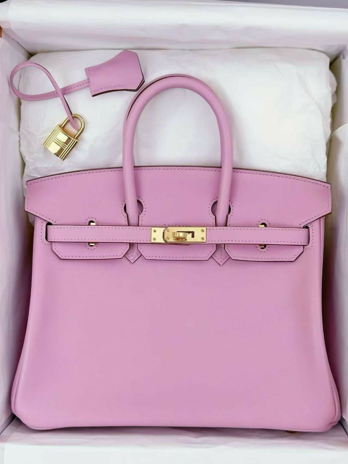 Hermès Birkin 25 Mauve Sylvestre (X9) Swift Leather with Gold Hardware