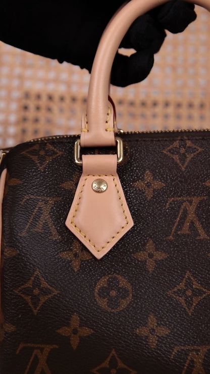 Louis Vuitton Speedy 20 Shoulder Bag