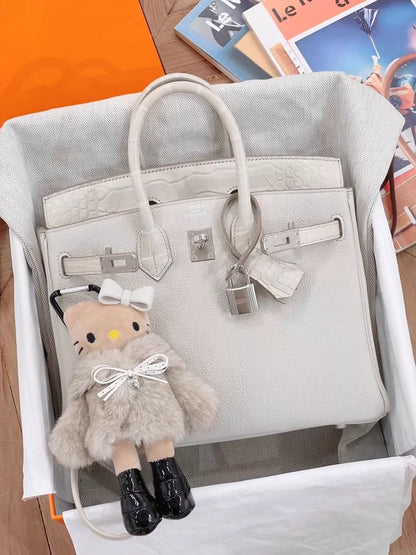 Hermès Birkin 25 Touch Betton Togo Leather & Matte Crocodile Leather Palladium Hardware