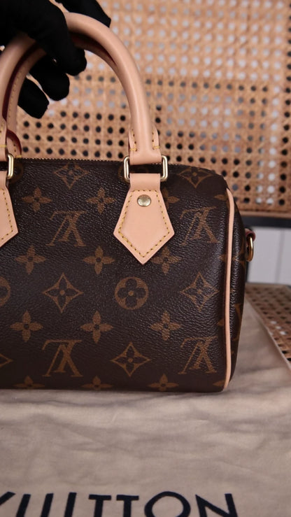 Louis Vuitton Speedy 20 Shoulder Bag