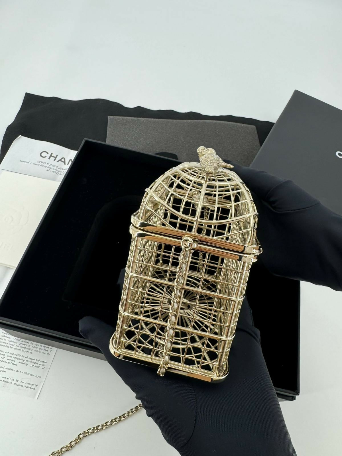 Chanel 2025 Rhinestone and Metal Embellishments Light Gold Birdcage Minaudière Bag