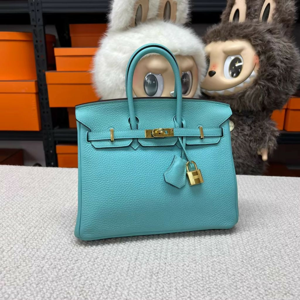 Hermes bag (2)