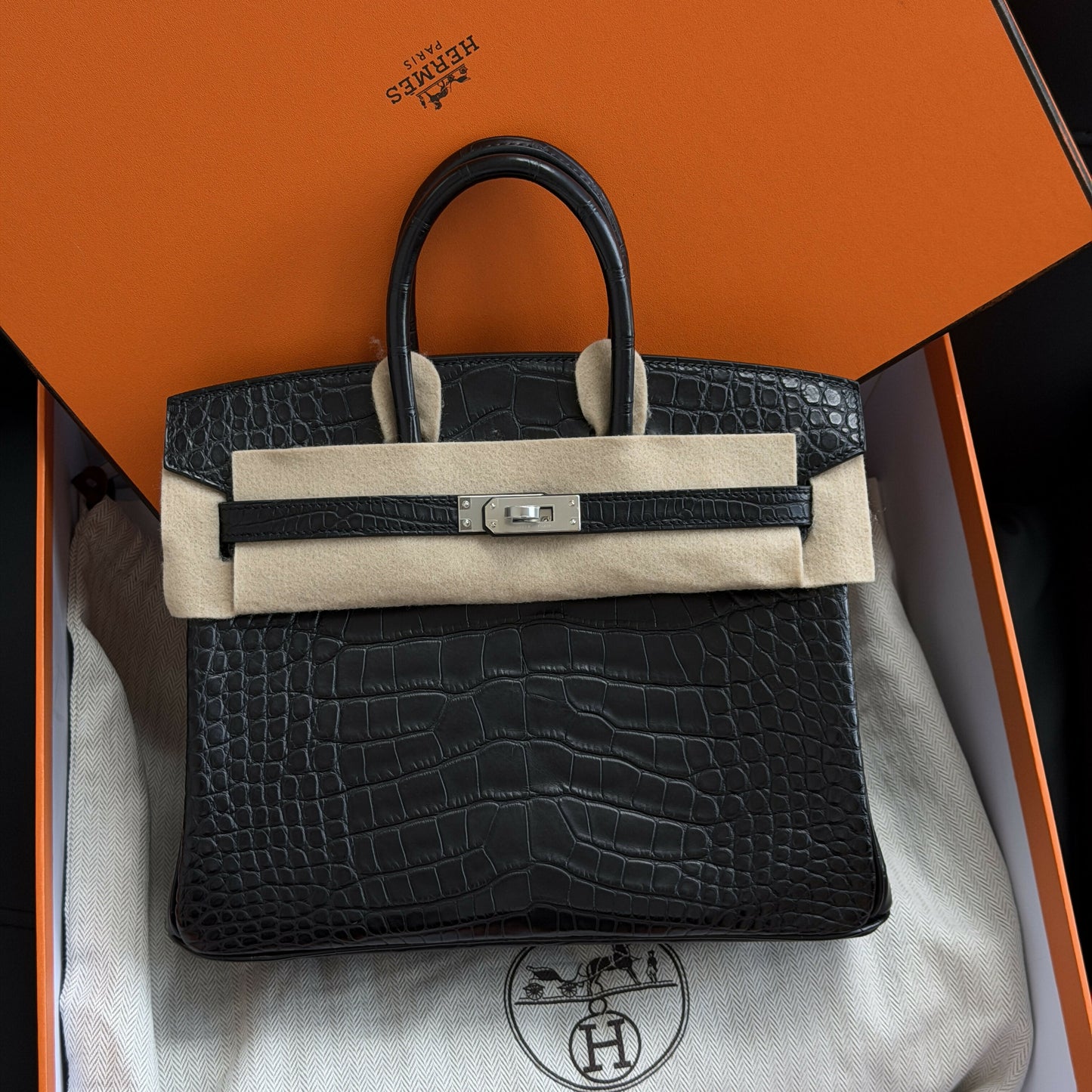 Hermès Birkin 25 Noir Matte Alligator Mississippiensis with Palladium Hardware