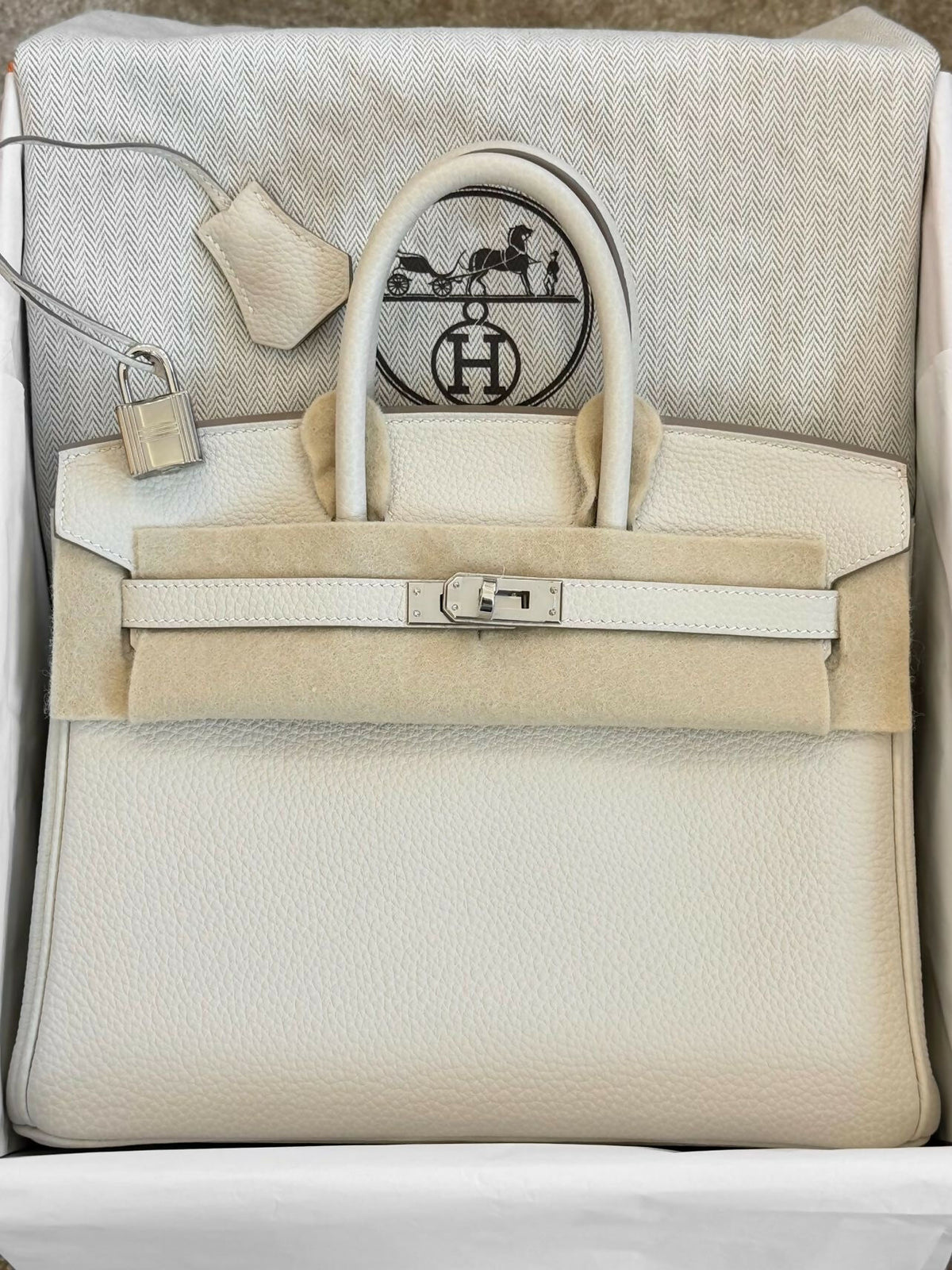 Hermès Birkin 25 Nata / Cream White Togo Leather with Palladium Hardware W Stamp